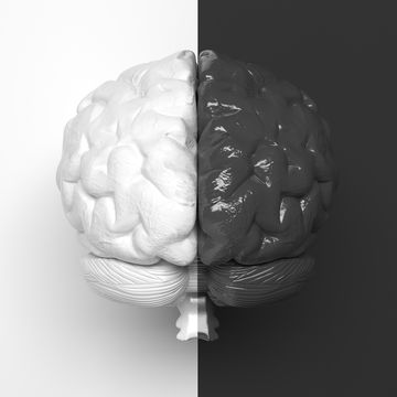black and white human brain divided in half into two parts in the middle one half is white, the other half is black creative conceptual illustration 3d rendering